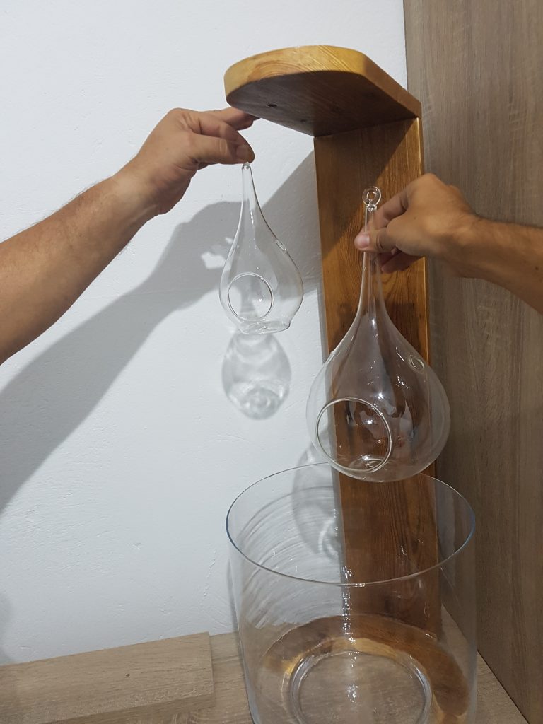 Pecera Peces agua fría